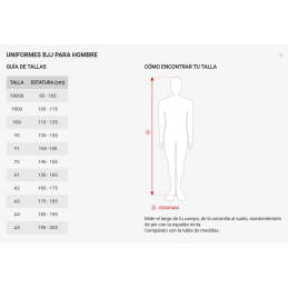 Brazilian Jiu Jitsu Gi Training 2 AZUL FUJIMAE