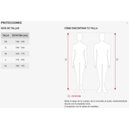 COQUILLA BASIC MASCULINA